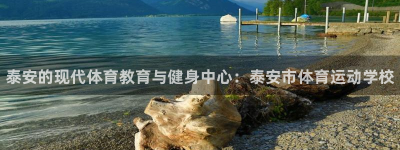 oety欧亿体育官网下载招商电话号码查询是多少：泰安的现代体