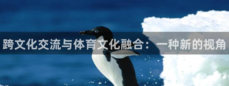 欧亿体育官方正版app娱乐代理怎么样：跨文化交流与体育文化融