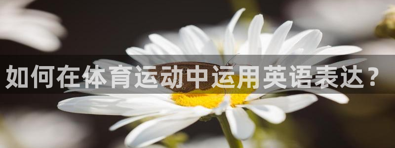 海南oety欧亿体育官网下载发展怎么样：如何在体育运动中运用