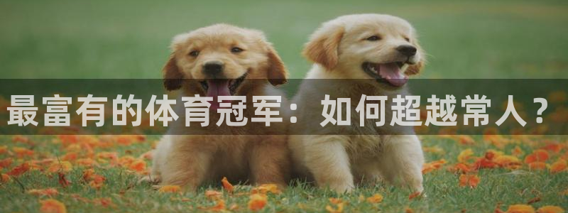 欧亿体育官方正版app开户：最富有的体育冠军：如何超