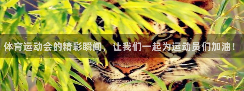 oety欧亿体育官网下载招商电话号码是多少：体育运动