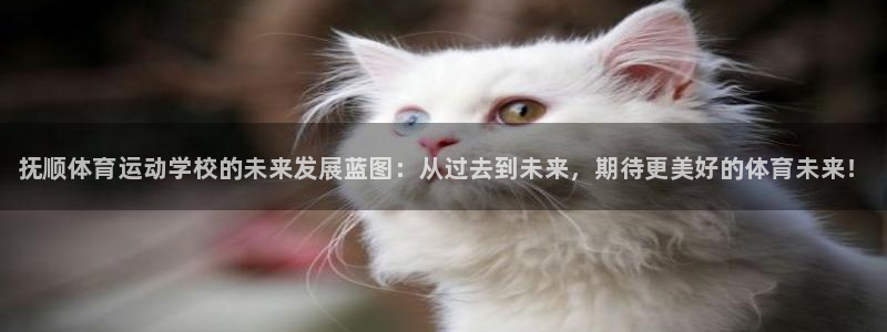 欧亿体育官方正版app神州：抚顺体育运动学校的未来发