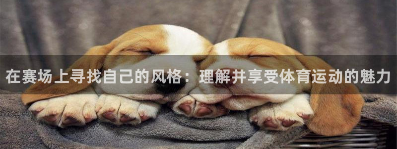 欧亿体育官方正版app五金厂：在赛场上寻找自己的风格