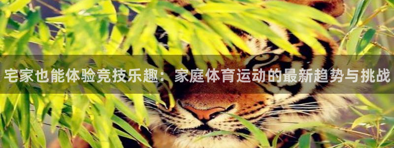 欧亿体育官方正版app娱乐代理怎么样：宅家也能体验竞技乐趣：