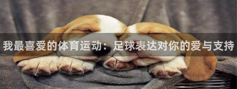 欧亿体育官方正版app代理：我最喜爱的体育运动：足球