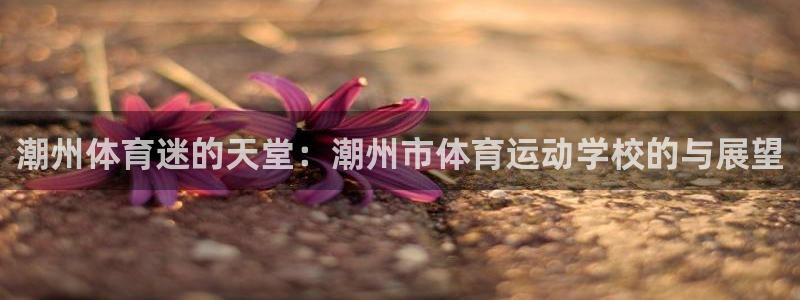 oety欧亿体育官网下载平台是正规平台吗安全吗