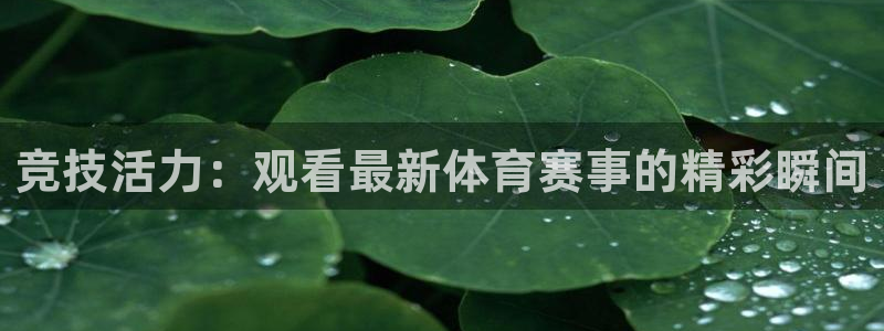 欧亿集团：竞技活力：观看最新体育赛事