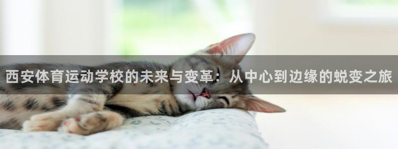 欧亿科技最新消息：西安体育运动学校的