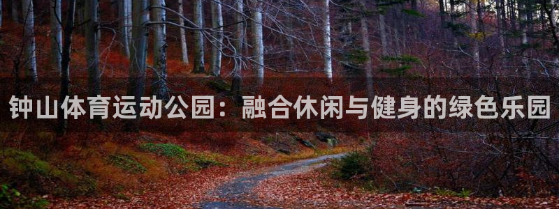 欧亿体育官方正版app娱乐平台：钟山体育运动公园：融合休闲与
